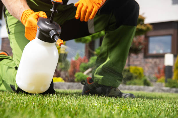 Best Bed Bug Extermination  in Miles, TX