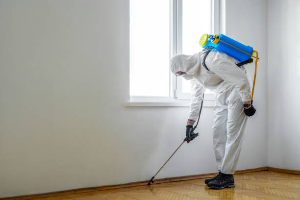 Best Best Pest Control Companies  in Miles, TX