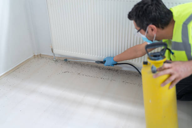 Best Exterminator Services  in Miles, TX