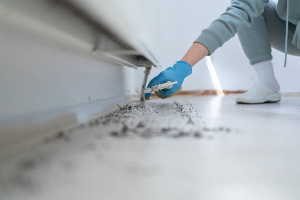 Best Affordable Pest Control Services  in Miles, TX